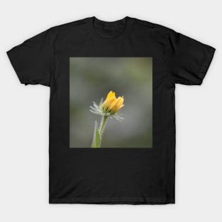 Blooming T-Shirt